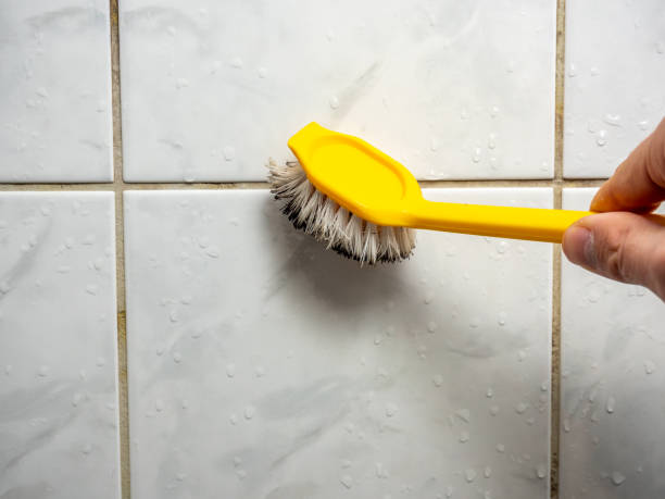 Best Mold Cleaning Services  in Cool Valley, MO